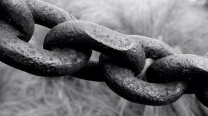 9 hard truths about links. Link building is difficult, and columnist Julie Joyce reminds us that there are no risk-free, fool-proof tactics within this discipline. Click on the above image to read the full article on Search Engine Land.