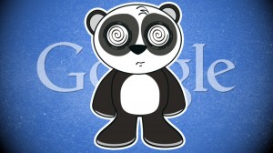 Google Algorithm - Panda and Penguin