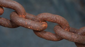 SEO Link Building and Risk Management