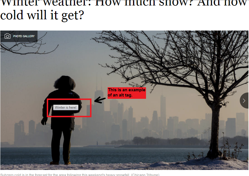 Example of an SEO alt tag from a photo in a Chicago Tribune article.